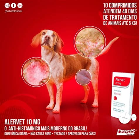 Melhor Antialergico Para Cachorro - Alervet 10mg Antialérgico para cachorro 10 comprimidos Provets