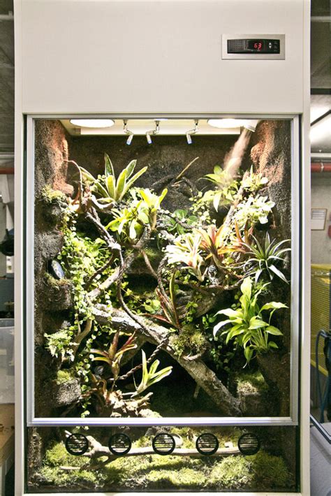 Paludarium F R Dendrobaten F R Phaeno In Wolfsburg