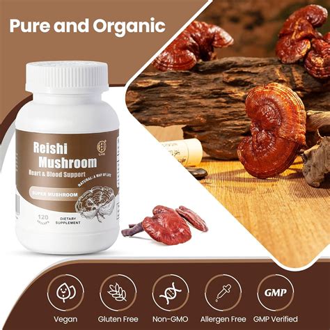 Finding Reishi Mushroom For Sale At A Discount Is Now Possible - RYZE Superfoods