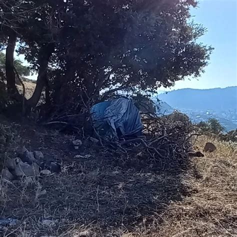 Ormanda çadır kurdu sekiz ay sonra ölü bulundu Sözcü