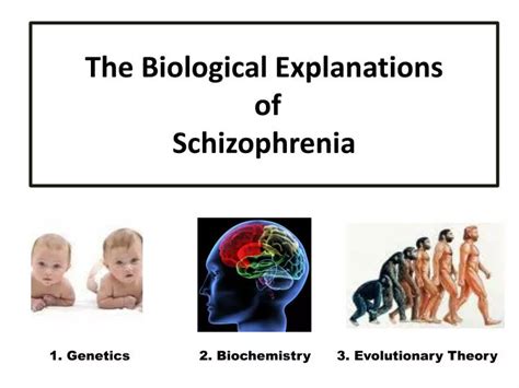 Ppt The Biological Explanations Of Schizophrenia Powerpoint