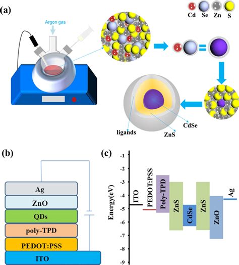 Synthesis Schematic Diagram Of Cdse Zns Qds A Structure Diagram B Download Scientific