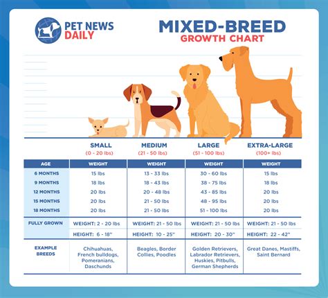 Mixed Breed Growth Chart: How Big Will Your Mixed Breed Dog Get? - Puppy Growth Calculator