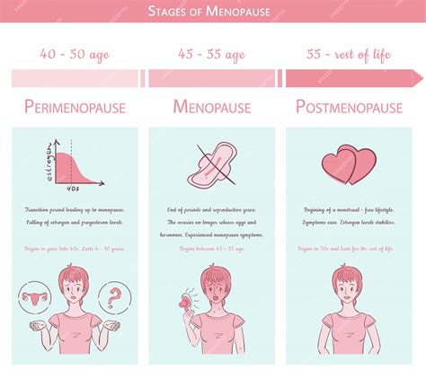 Premium Vector | Menopause stages. medical graphic concept with timeline
