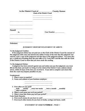 Judgment Debtor Statement Of Assets Form State Legal Forms Fill And