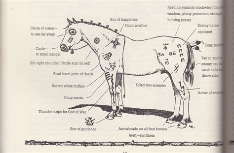 Native American War Horse Markings