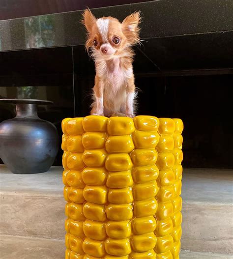 Demi Moore 60 Flaunts Svelte Figure In Bikini During Beach Day