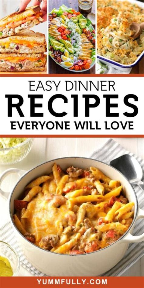 26+ Easy Dinner Recipes Everyone Will Love - Yummy and fully