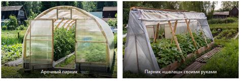 Виды парников и их назначение | SadGrad.ru | Дзен