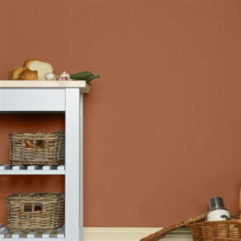 Краска Farrow & Ball цвет Red Earth 64 Modern Eggshell 5 л купить по ...