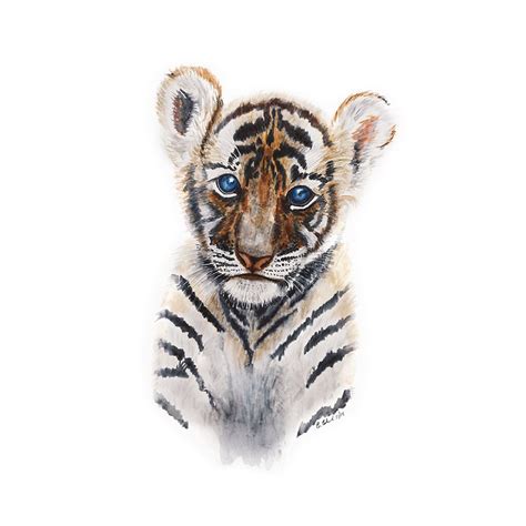 Tiger Art Tiger Watercolor Baby Tiger Tiger Cub Baby