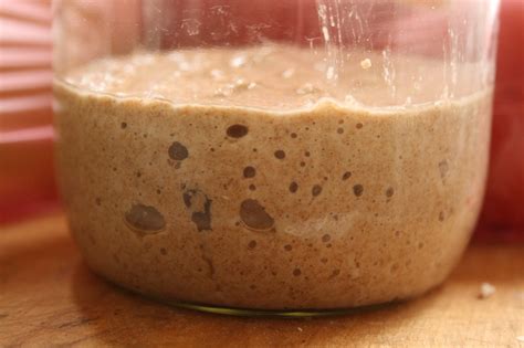 Делаем домашние дрожжи!