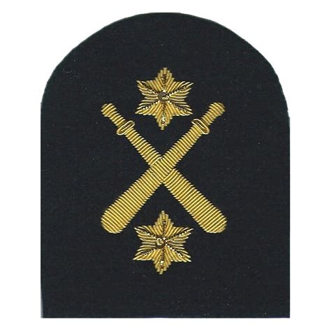 Royal Marines Crossed Clubs 2 Stars Pti Marines Or Commando Insigni