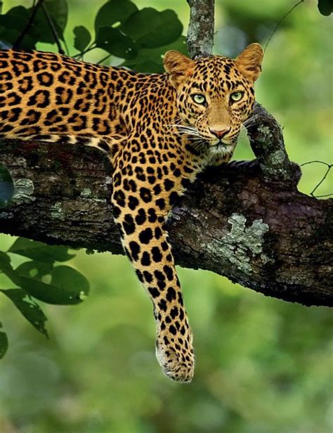 Best Lounging Images On Pholder Room Porn Hardcoreaww And Cozy Places