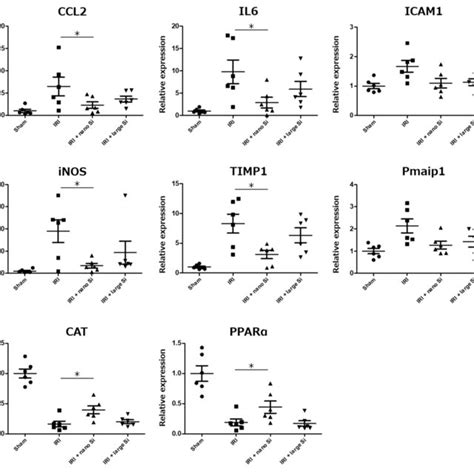 Relative Mrna Expression Levels Of Eight Genes Associated With