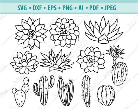 Cactus Svg Bundle Suculentas Svg Plantas Clipart Cactus Etsy M Xico