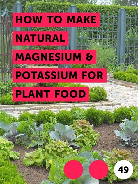 Learn How To Make Natural Magnesium And Potassium For Plant Food How To Guides Tips And Tricks