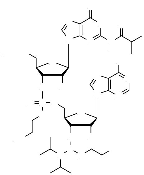 5 O DMTr 2 OMe G IBu PCyEt 2 OMe A Bz 3 CE Phosphoramidite