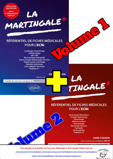 PDF à Télécharger La martingale des ECNi Volume 1 2 Livre