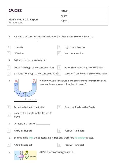 50 Membranes And Transport Worksheets For 11th Grade On Quizizz Free