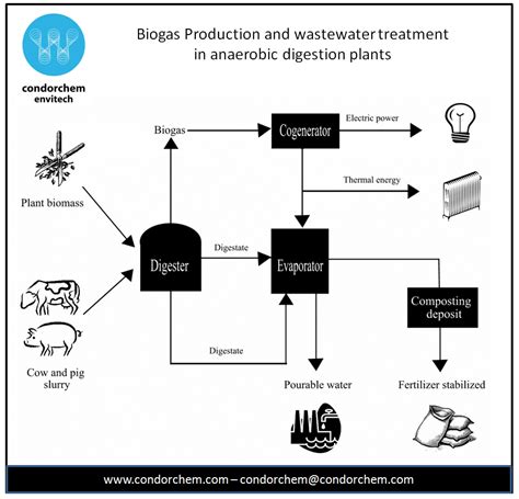 Biogas Production Process