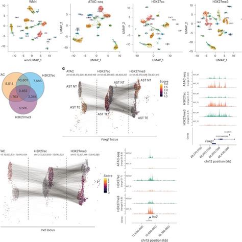 Atac H K Ac And H K Me At Loci Harboring Microglia And Mature