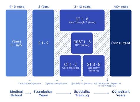 What Do Doctors Do — Medify