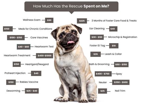 Adoption Fees – Repuglickin' Pug Rescue