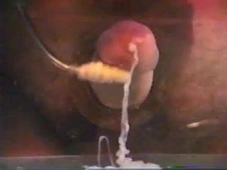 Floating Cum Stripes Gay Man Porn XHamster