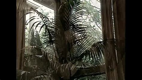 Sex Scene Search Xnxx