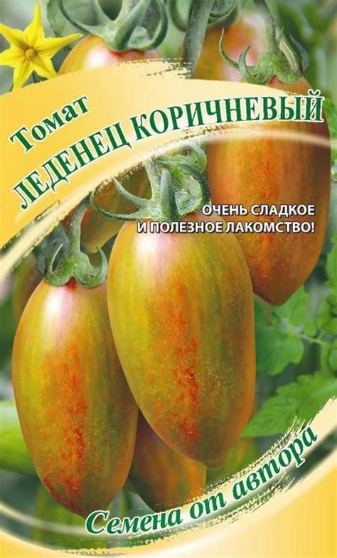 Томат Леденец коричневый: описание сорта помидоров, характеристики ...