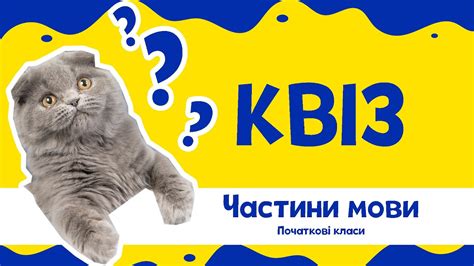 Квіз для початківців "Частини мови" - YouTube