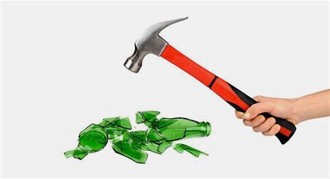 УПАКОВКА ДЛЯ ЖИВОТНЫХ ПРОТИВ СТЕКЛЯННОЙ УПАКОВКИ – AIPAK