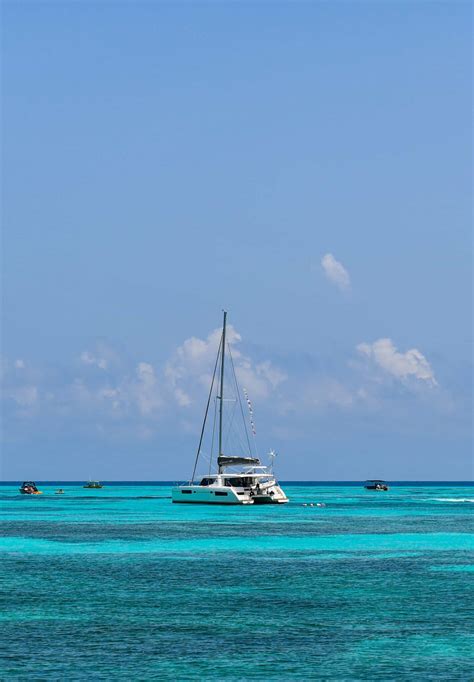 The 3 Best Captain Cook Snorkel Tours for Eco-Conscious Travelers