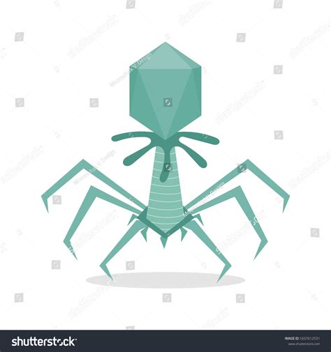 Escherichia Virus T4 Microorganisms Vector Illustration Stock Vector