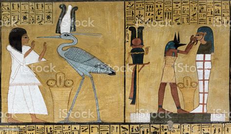 Did you know? Interesting facts about massage and our body.