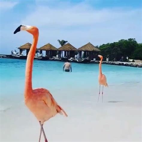 Praias Cristalinas Areias Branquinhas E Temperaturas Elevadas Essa