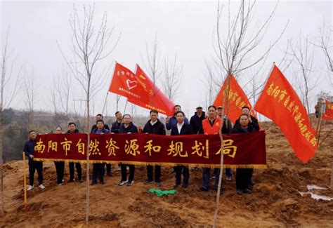 【市局动态】南阳市自然资源和规划局积极参加春季义务植树活动生态文明建设