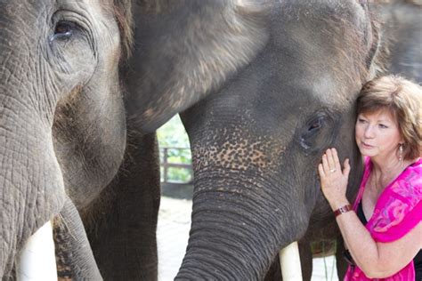 Animal communication – can we really chat with our furry friends?