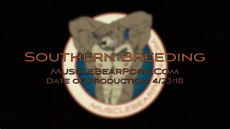 Beefy Videos XVIDEOS