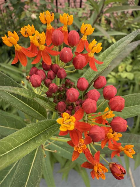 Vineland Historical and Antiquarian Society Museum - Mark your