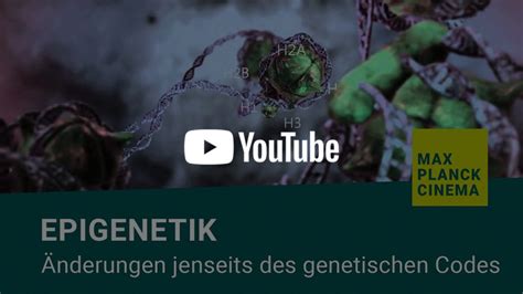 Epigenetik Nderungen Jenseits Des Genetischen Codes Max Planck