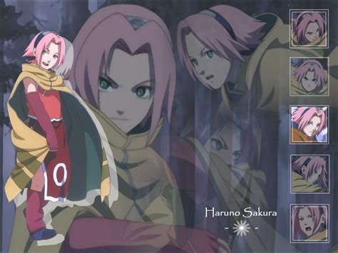 Haruno Sakura Haruno Sakura Wallpaper 34402267 Fanpop