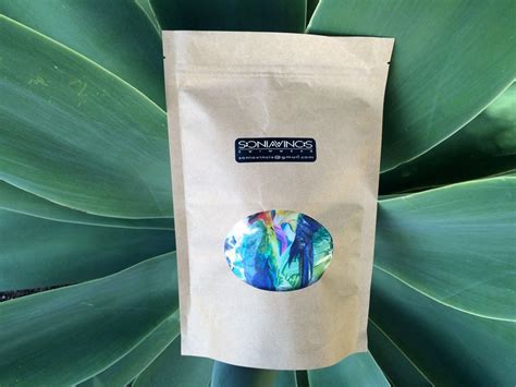 Parrots Bikini Set Bandeau Top Woman Swimwear Handmade Etsy