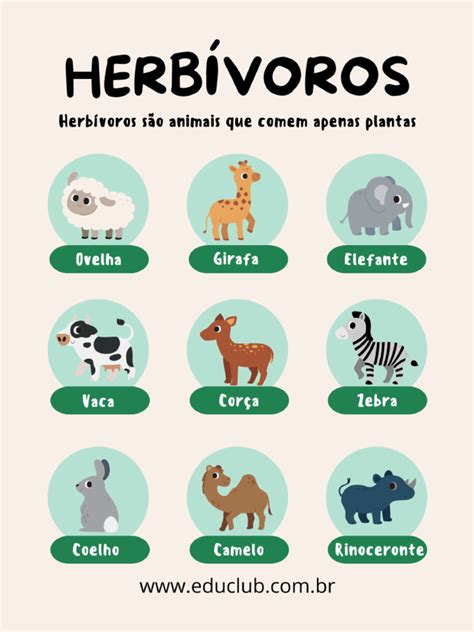 Três Animais Herbívoros - Animais Herbívoros Pôster | PDF