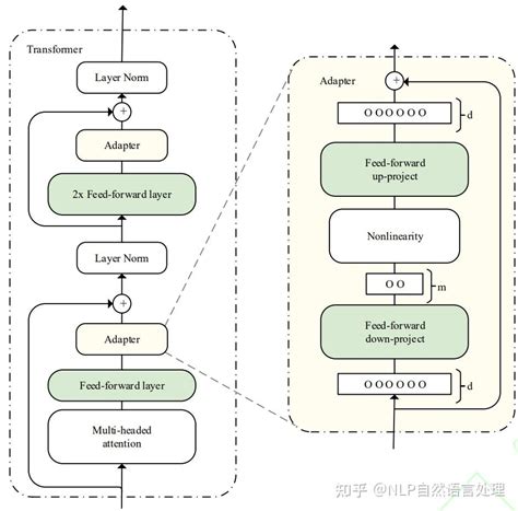 预训练模型微调 一文带你了解Adapter Tuning 知乎