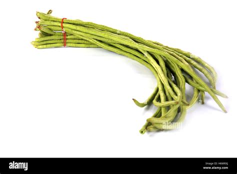 Yard Beans Stock Photos And Yard Beans Stock Images Alamy