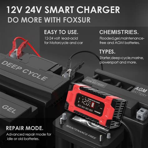 FOXSUR 12V 24V 10A Car Motorcycle Battery Smart Repair Lead Acid