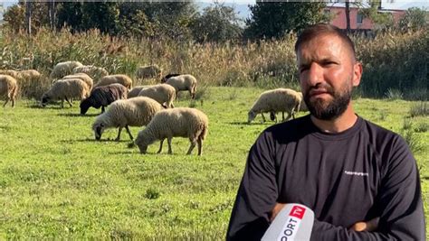 Lezhjani kthehet nga emigrimi Më paragjykonin kur më shihnin me dele