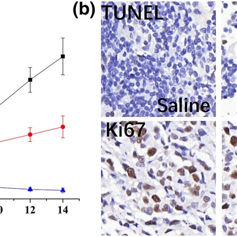 A Quantitative Flow Cytometry Analysis Of Intracellular Fluorescence